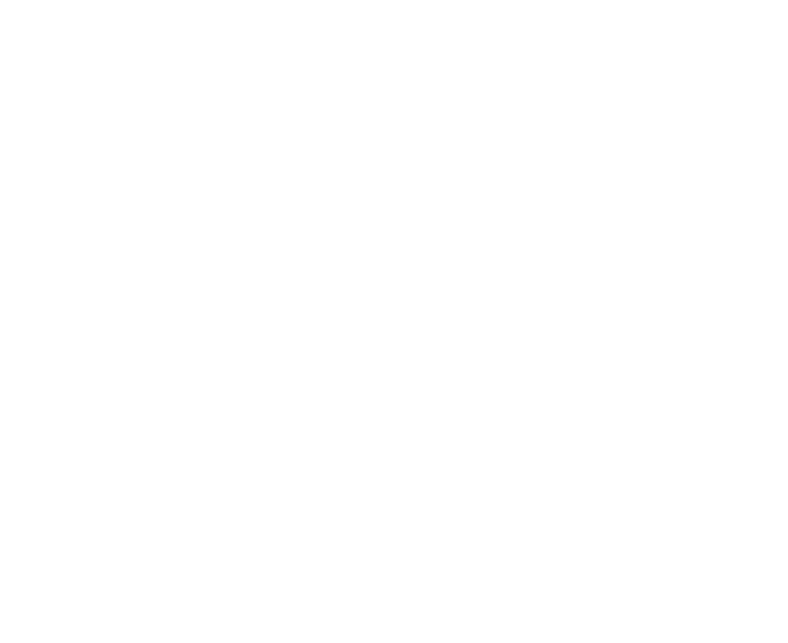 Top Down Detailing Logo